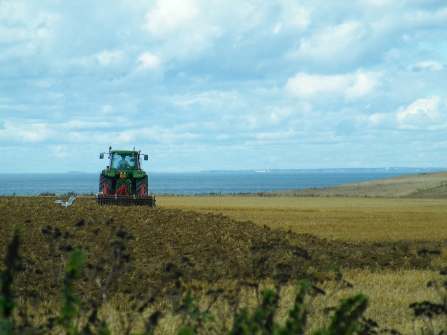 Farming on the Isle of Wight