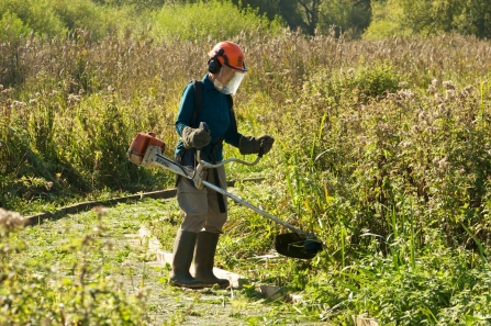 Brushcutting at Winnall Moors Nature Reserve © Steve Page
