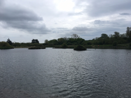 Budds Farm lake near Southmoor