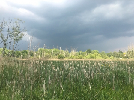 Stormy clouds at Fishlake Meadows nature reserve