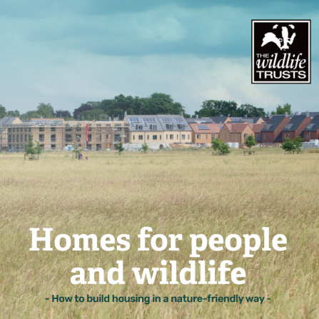 Homes for People and Wildlife report