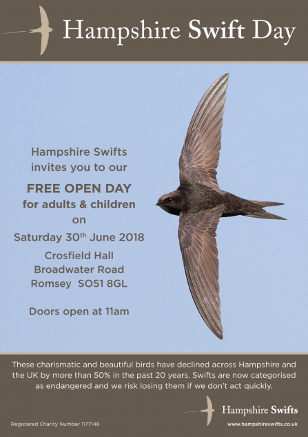 Hampshire Swift Day