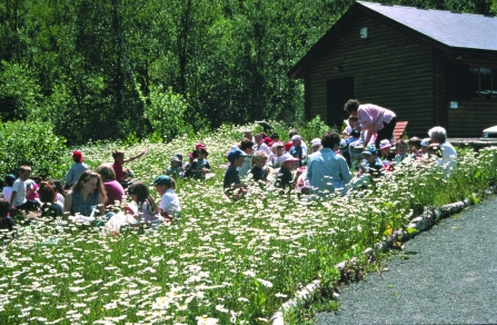 School group Swanwick Lakes