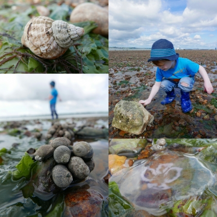 Beach activities 30 Days Wild © Gemma Paul/HIWWT