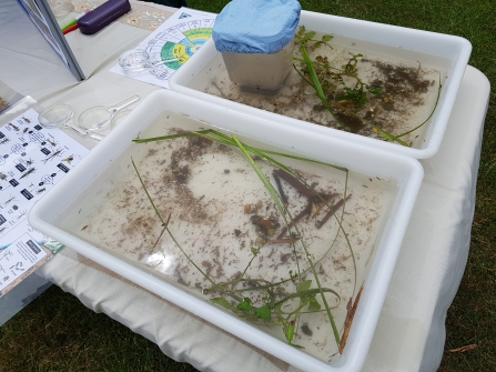 Watercress and Winterbournes - School fete