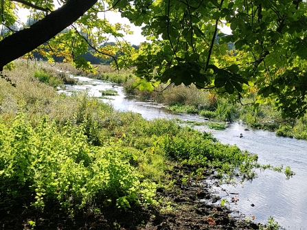 Watercress and Winterbournes - Abbotts Ann 