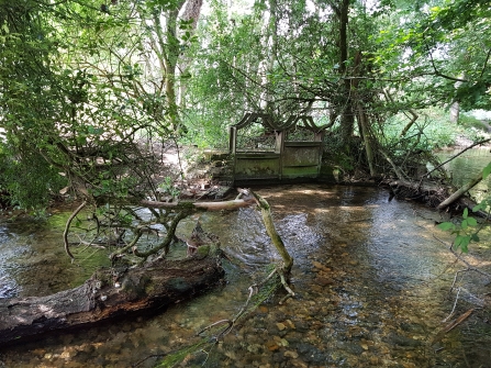 heritage, watercress and winterbourne