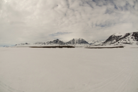 Snow in Greenland © Jeroen Reneerkens