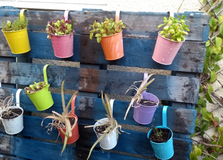 vertical garden wildlife trust