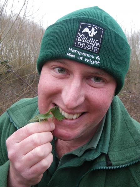 Nettle eating at Blashford