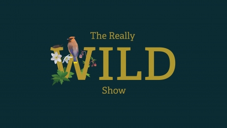 The Really Wild Show