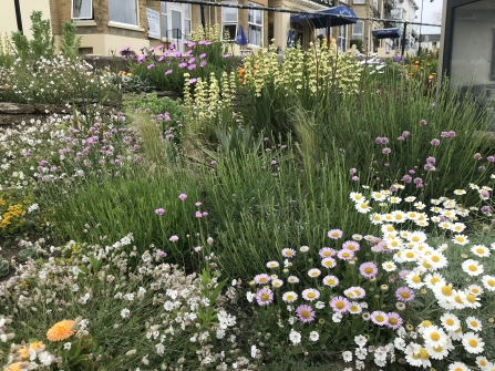 Sandown Green Town - flowerbed