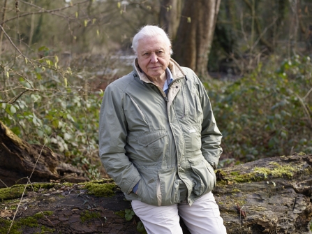 Sir David Attenborough