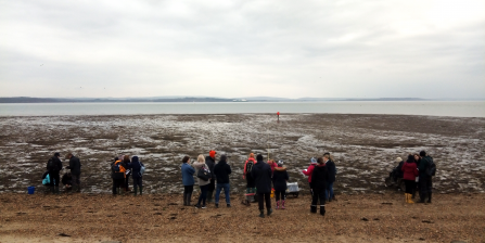 Intertidal survey at Lepe Country Park © HIWWT