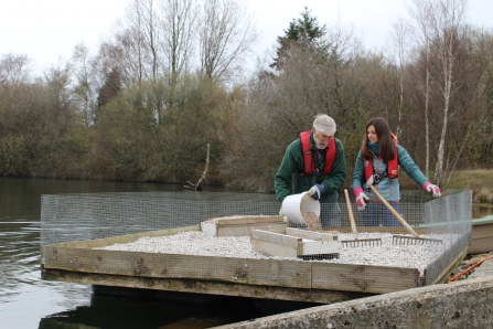 Preparing tern rafts at Blashford Lakes nature reserve