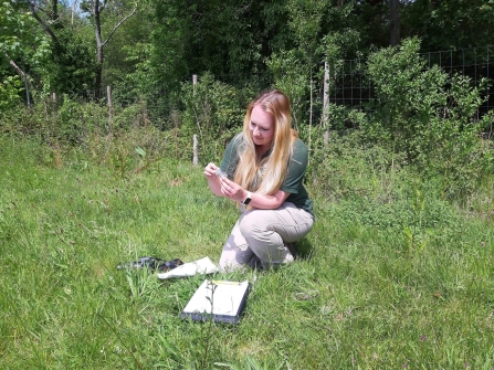 Trainee Ecologist Aggie Thompson conducting an Orthoptera survey