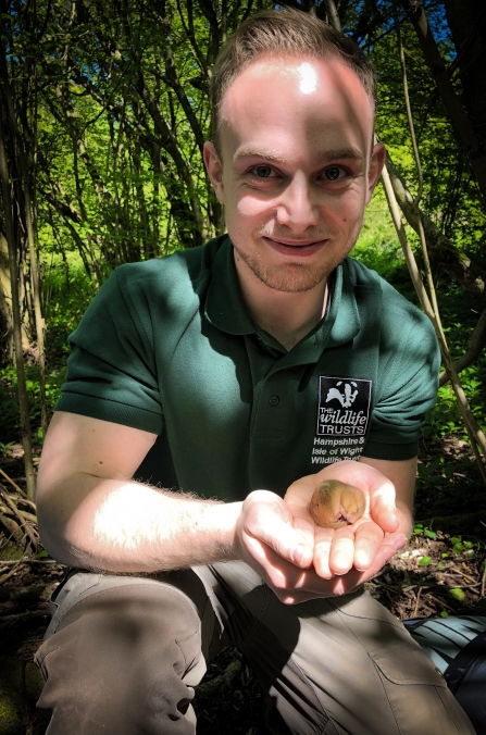 Trainee Ecologist Jack Hawnt assisting with a dormouse survey