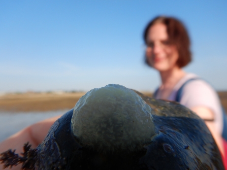 Laura with acanthodoris pilosa sea slug © Jenny Mallinson