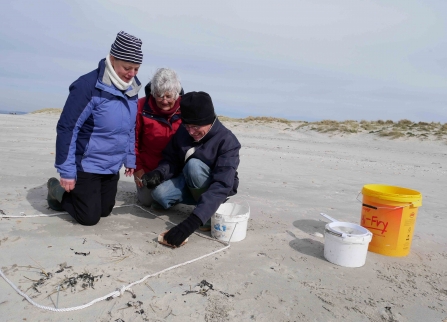 Volunteers using the Big Microplastic Survey method © David Jones/Just One Ocean