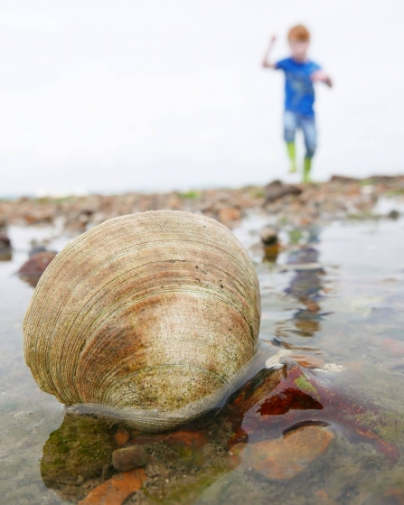 Beach discoveries © Gemma Paul