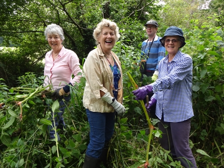 Volunteers pulling Himalayan balsam along Avon Water in July 2019