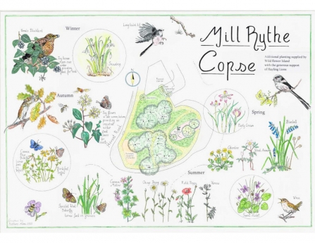 Art Sketch of Land Map in Mill Rythe Copse