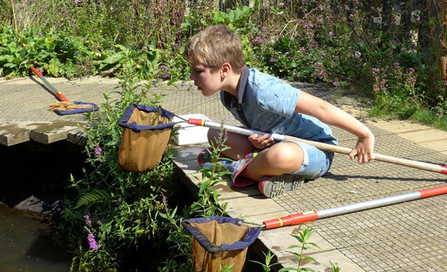 Pond dipping Blashford Lakes