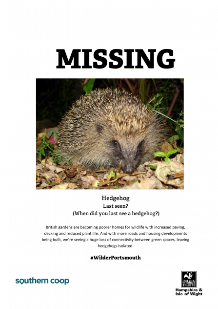 Wilder Portsmouth Missing Wildlife Poster