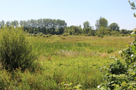 Fishlake Meadows