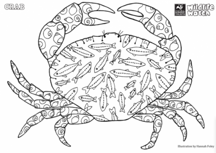 Crab