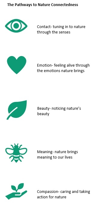 5 pathways to connect to nature: Contact, Emotion, Beauty, Meaning, Compassion