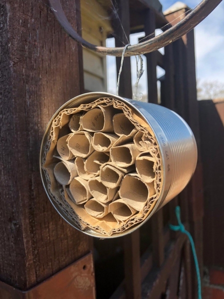 Bee hotel