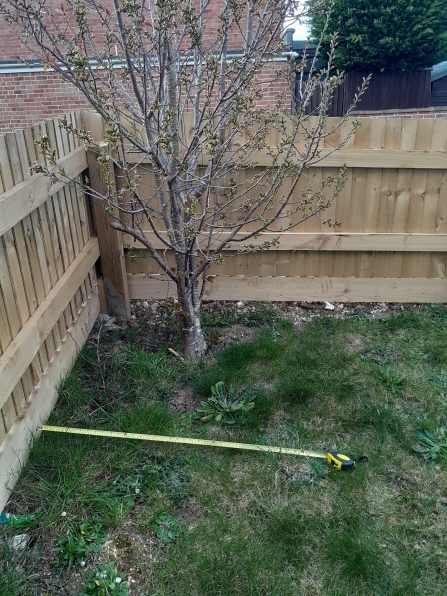 Measuring 1 meter squared in your garden