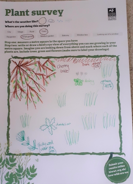 Example of how to fill out plant survey