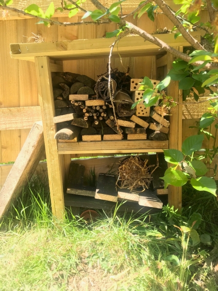 Becky's insect hotel