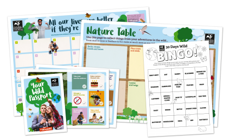 30 Days Wild Pack with passport calendar and bingo