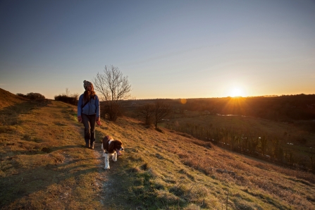 Dog walker on St Catherine's Hill by Matt Doggett