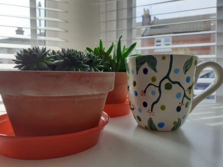Houseplants on desk with hand painted mug