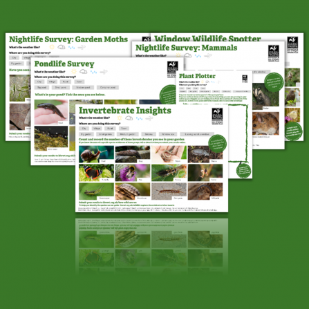 Citizen Science surveys