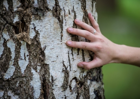 Close to nature - touching a tree