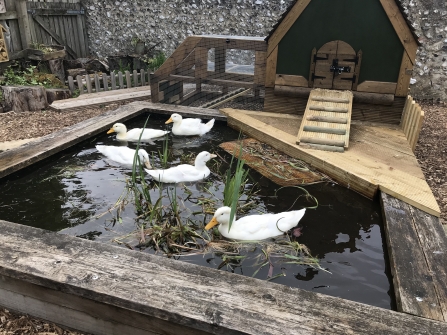 Duck house in Kings Worthy Primary School