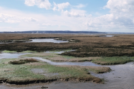 Keyhaven saltmarsh with isle of wight in the background