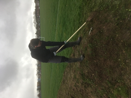 Man raking wildflower bank to prepare soil