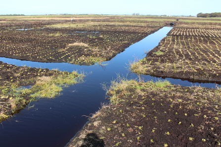 Carbon fram irrigation ditches ensure the peat remains wet (c) Lancashire Wildlife Trust