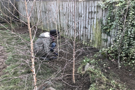 Planting Woodland Edge