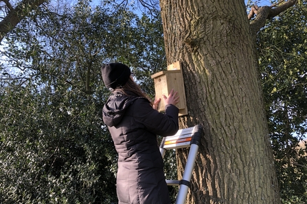 Installing a nest box