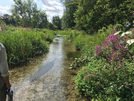 Pillhill Brook at Little Ann © Wild Trout Trust