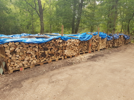 Log processing at Swanwick Lakes