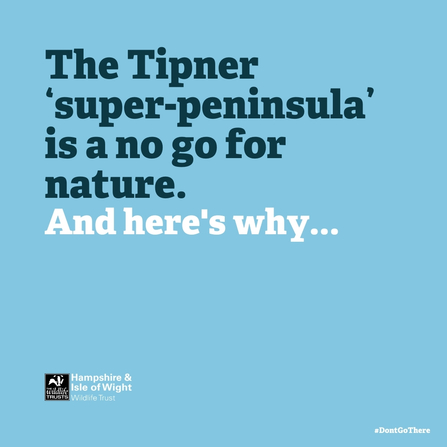 The Tipner ‘super-peninsula’ is a no go for nature. And here's why... social media graphic