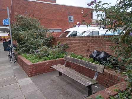 Bench surrounded by raised beds with overgrown plants and bin bags in the background